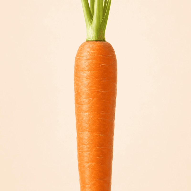 Découvrez la carotte bio pressée à froid : source de provitamine A (bêta-carotène) et de potassium. Pourquoi l’intégrer à une cure de jus ?