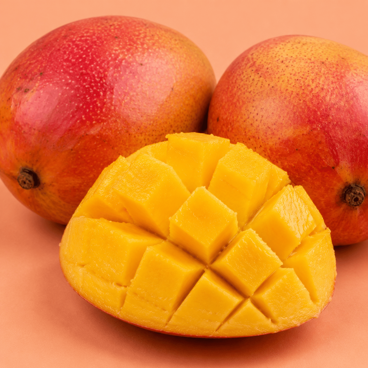 Mangue